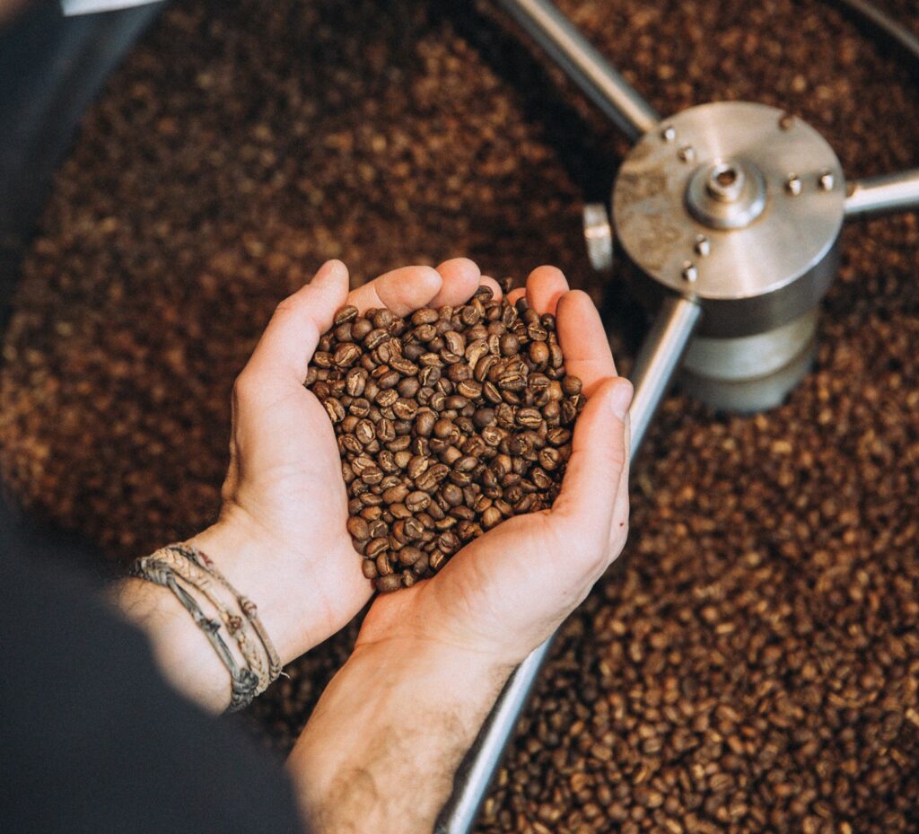 Association Coffee Course Roasting Professional - Mare Terra Coffee Institute